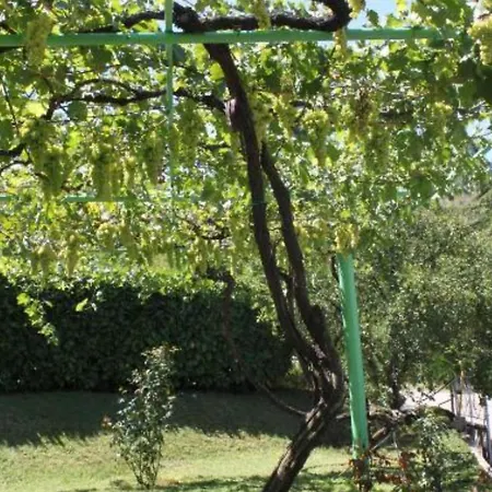 Pensjonat Elez Serenity Međugorje