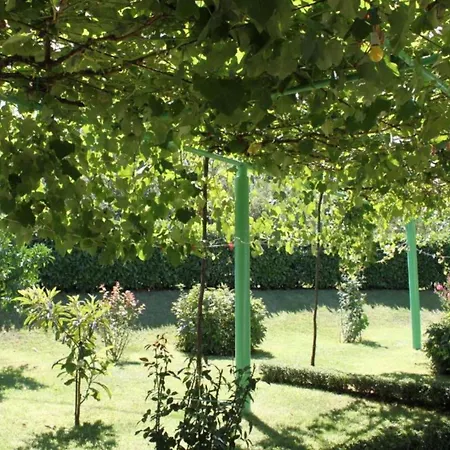 Elez Serenity Pensjonat 3*